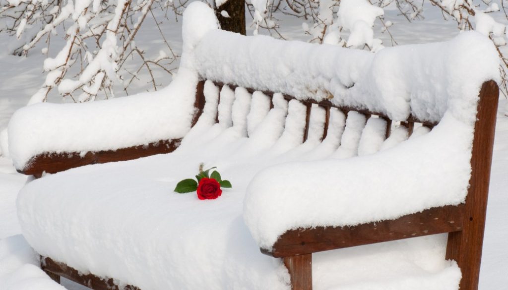 423619-1920x1080-snow.jpg